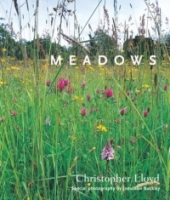 Meadows артикул 1871d.